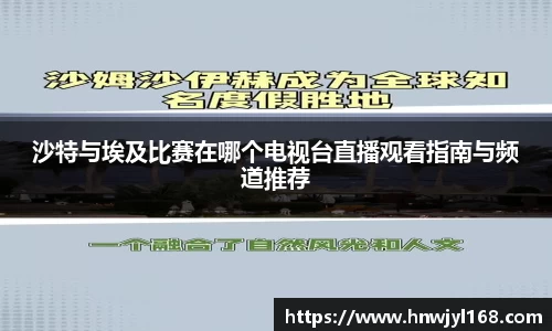 沙特与埃及比赛在哪个电视台直播观看指南与频道推荐